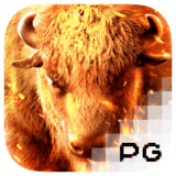 RTP pgsoft  foxybet77