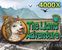 JDB : Llama Adventure - FOXYBET77