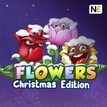 Flowers Christmas Edition - FOXYBET77