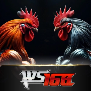 Ws168 Sabung - FOXYBET77
