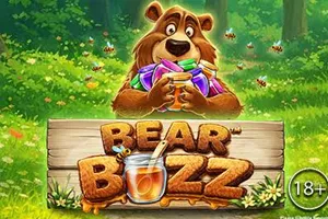 Bear Buzz - FOXYBET77