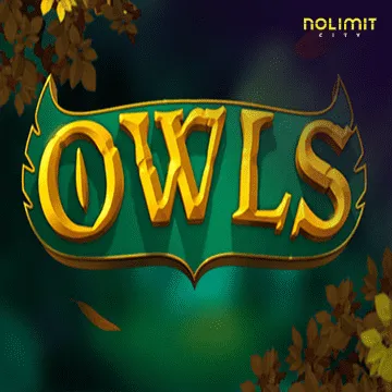 NolimitCity : Owls - FOXYBET77