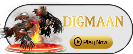 Digman - FOXYBET77